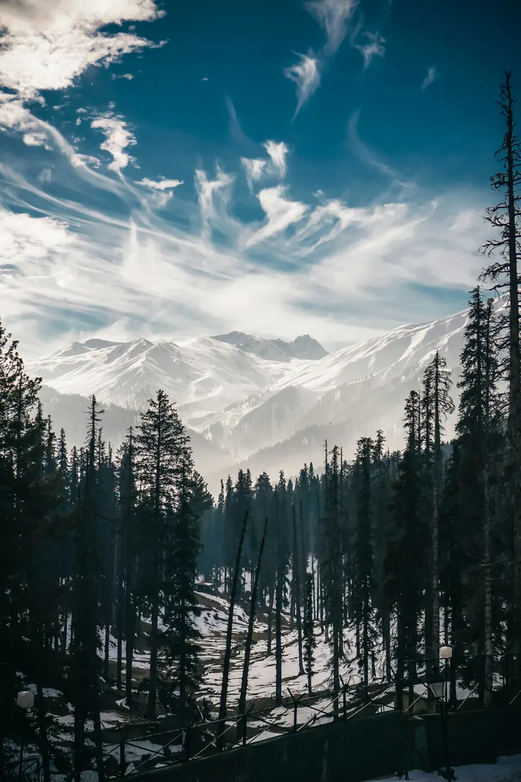 Snow peaks above pine forest in Gulmarg